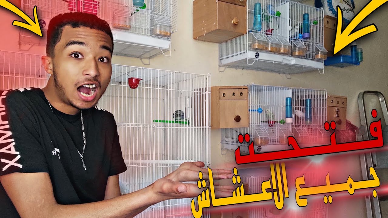 فتحت جميع اعشاش طيوري 😲🔥 المفاجأة في زغلول رينبو 🌈😲