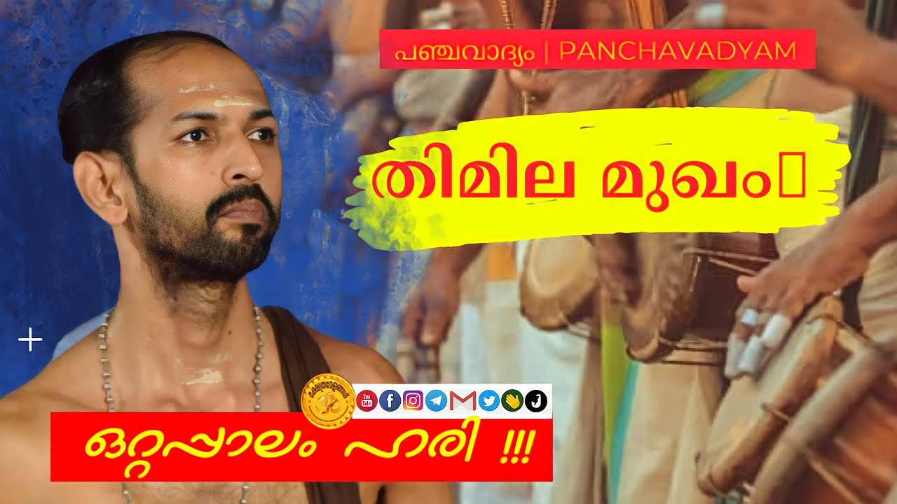 Panchavadyam Pathikalam Thimila Mugham by Ottapalam Hari | പഞ്ചവാദ്യം തിമില മുഖം ഒറ്റപ്പാലം ഹരി