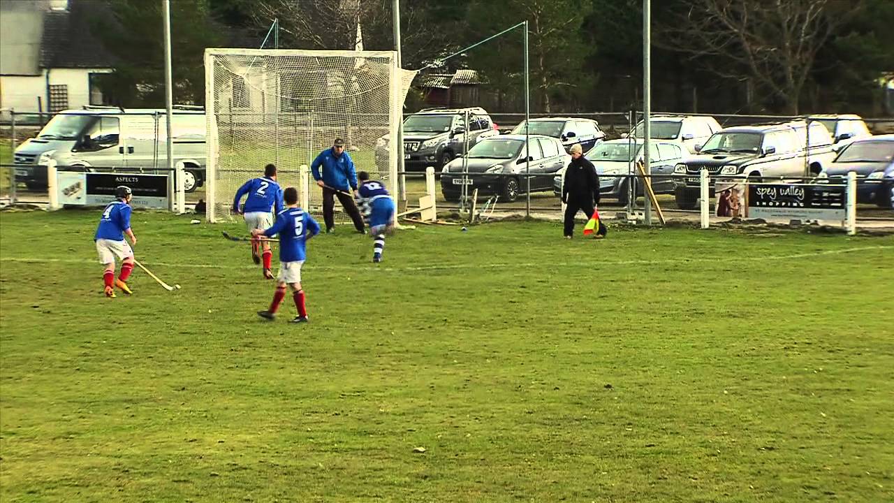 Spectacular Shinty Saves