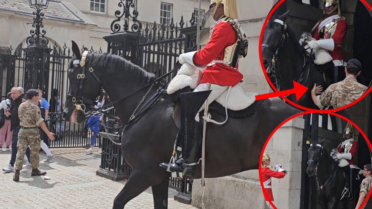 NOT WELL King's Horse (ARNIE) Immediately Taken Back Inside