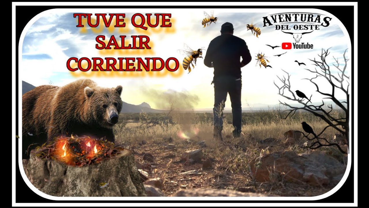AVENTURA 564” FUE MI CULPA ELLAS ESTABAN EN SU CASA Y YO LLEGUE A MOLESTARLAS