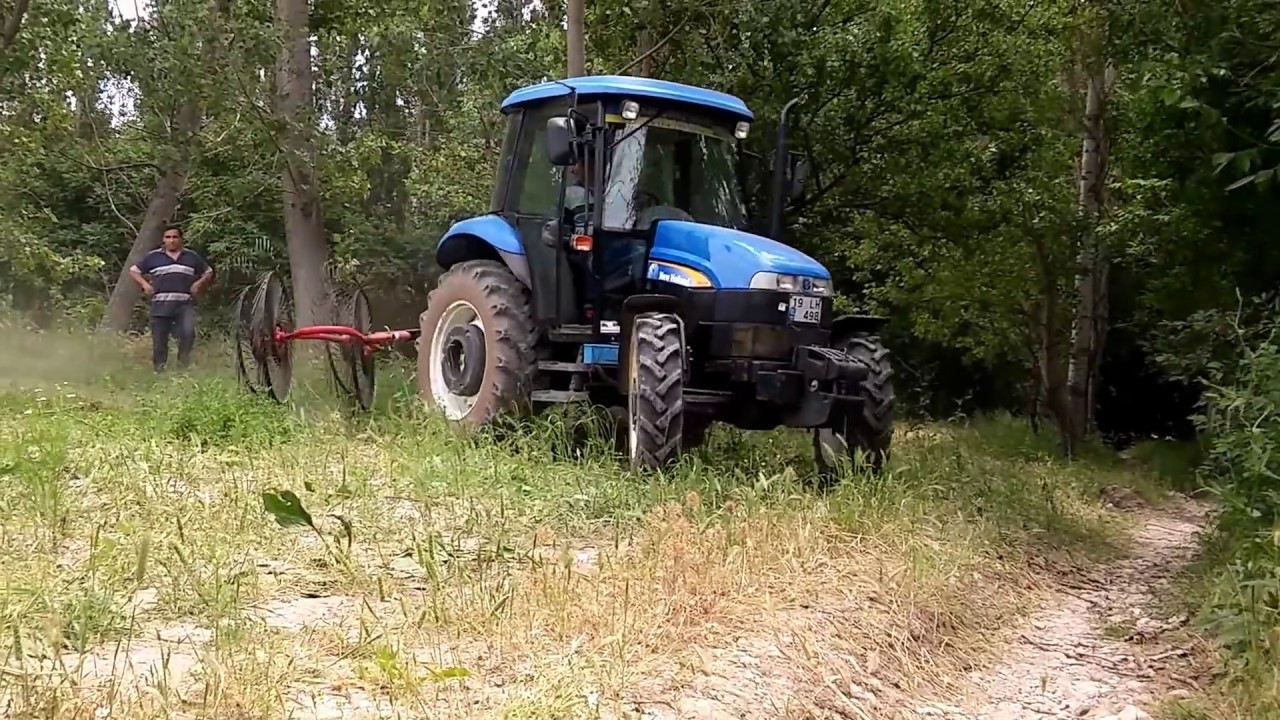TD65D Cin dırmığı çekimi kışlacık köyü mecitözü çorum(Şerif Solar)