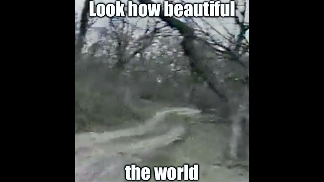 ‏‏‎ ‎