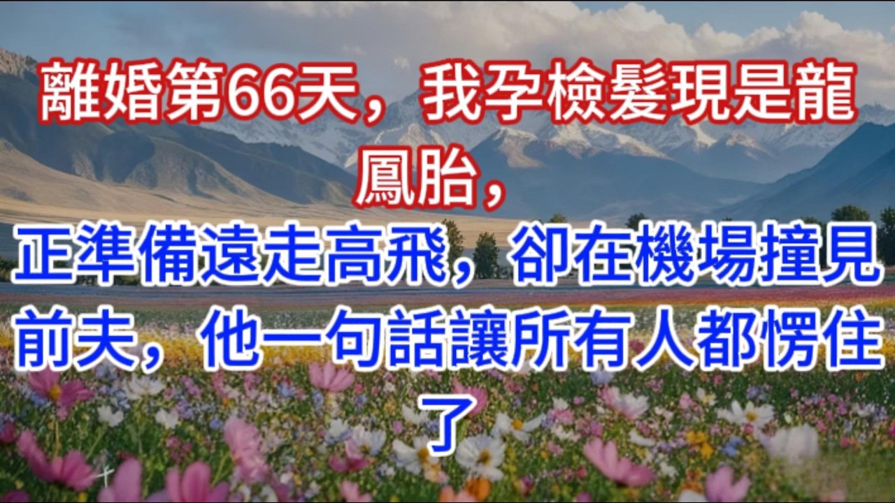 離婚第66天，我孕檢髮現是龍鳳胎，正準備遠走高飛，卻在機場撞見前夫，他一句話讓所有人都愣住了