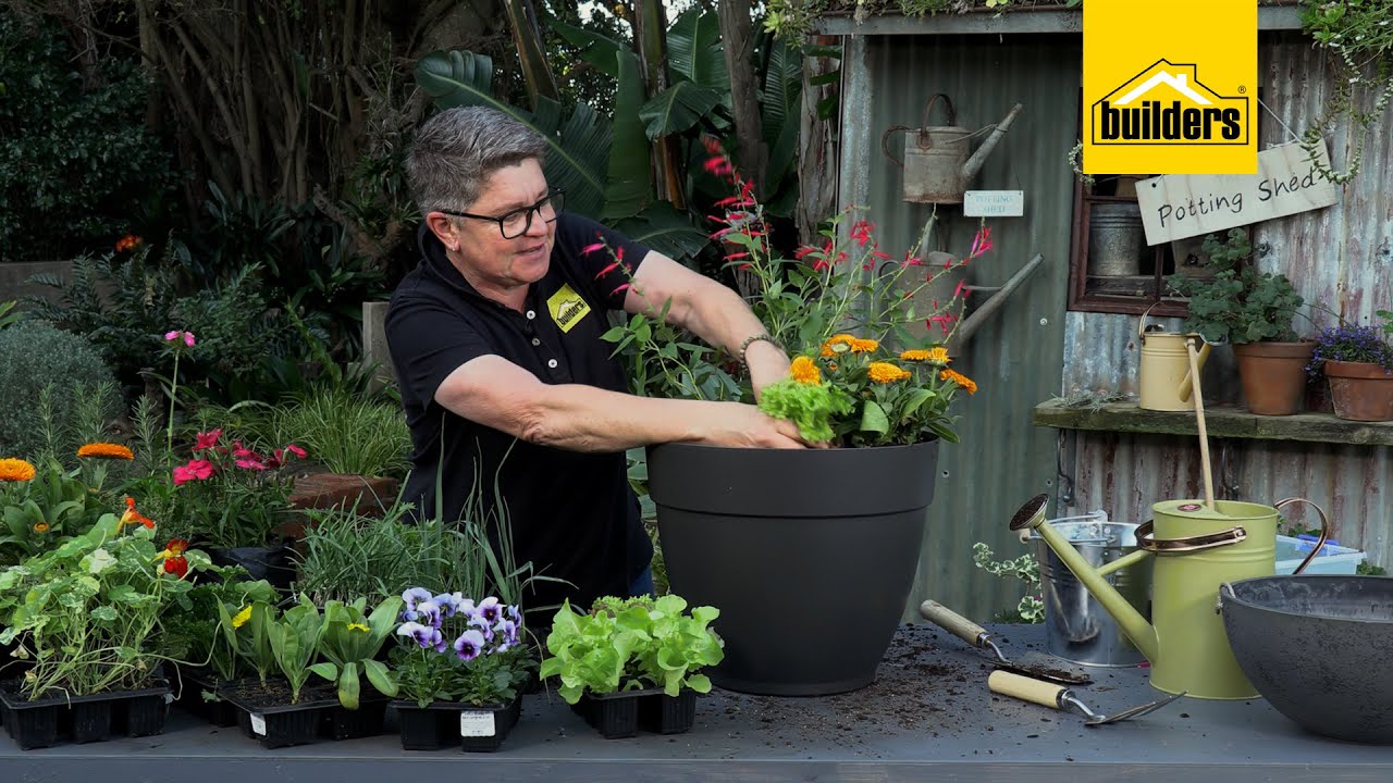 Tanya Visser Shares Everything About Companion Planting