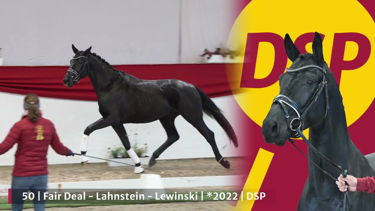 Lot 50 v. Fair Deal / Lahnstein