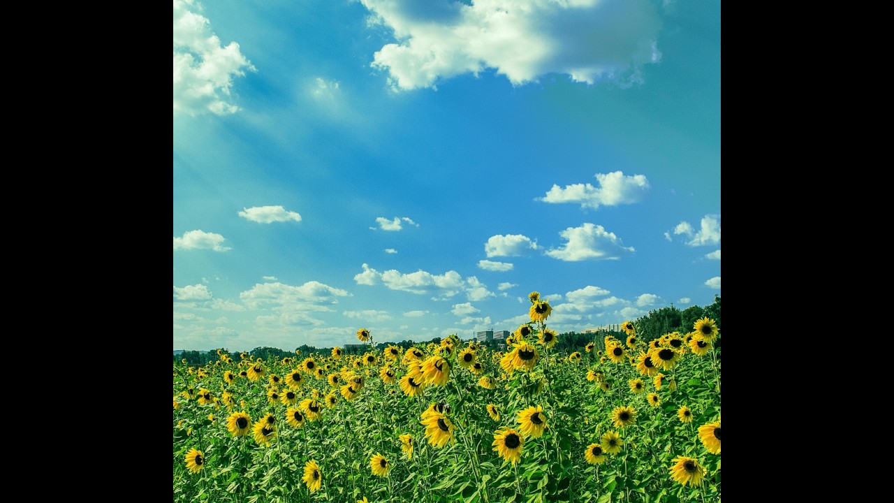 Endlich wieder Sommer