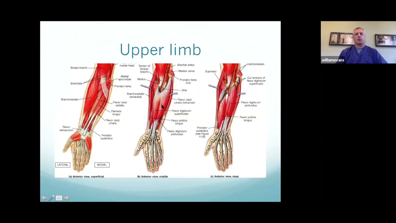 Stroke Group | Dr. Evans (Spasticity Treatment Botulinum Treatment)