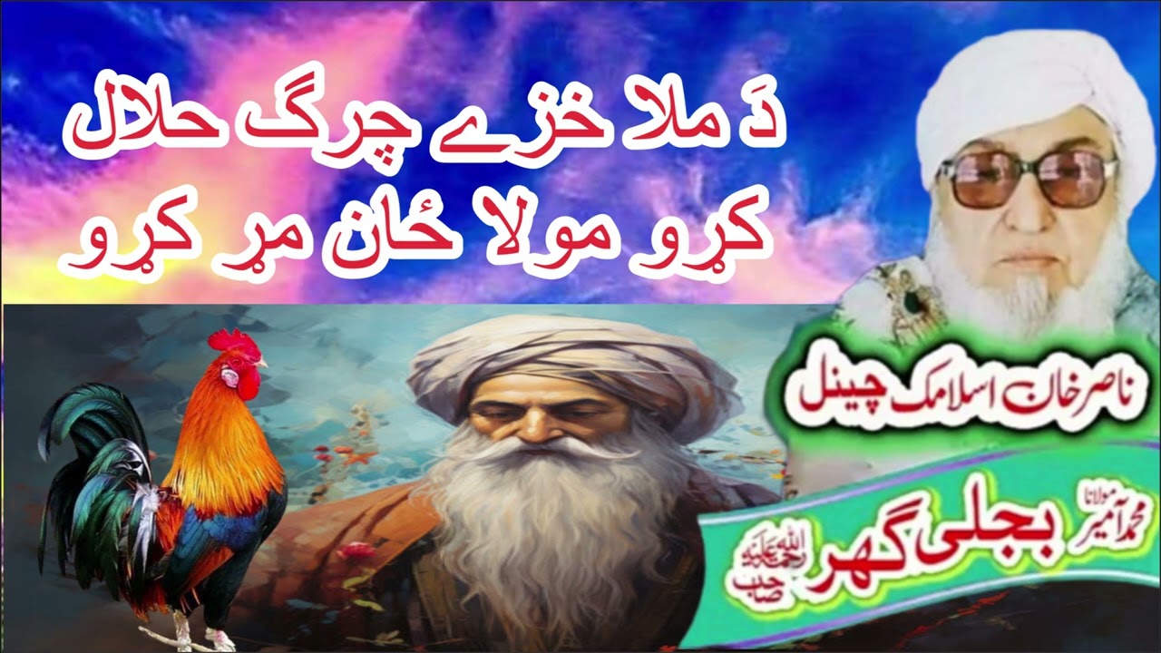 Molana Bijli Ghar رحمتہ اللہ علیہ Poshto Bayan دَ مولا خزے چرگ حلال کڑو مولا زان مڑ کڑو