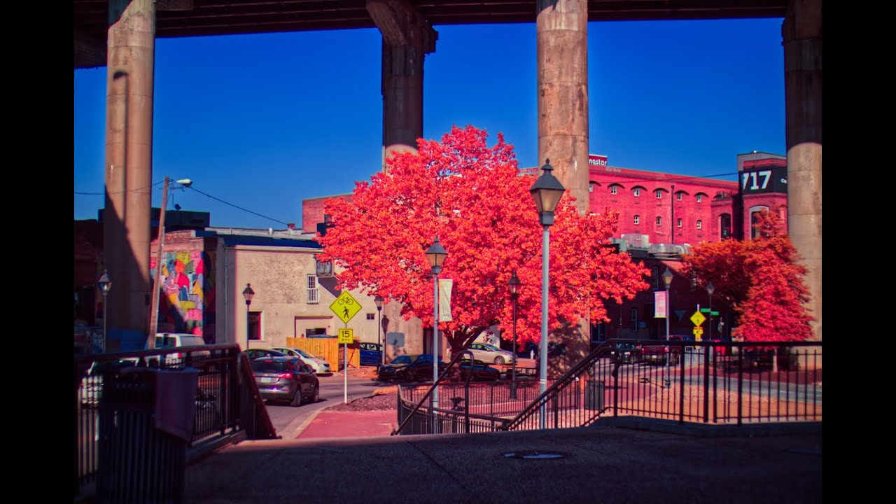 POV: Infrared Photography in Richmond, VA (Canal, James River Pipeline, VA Capital Trail)
