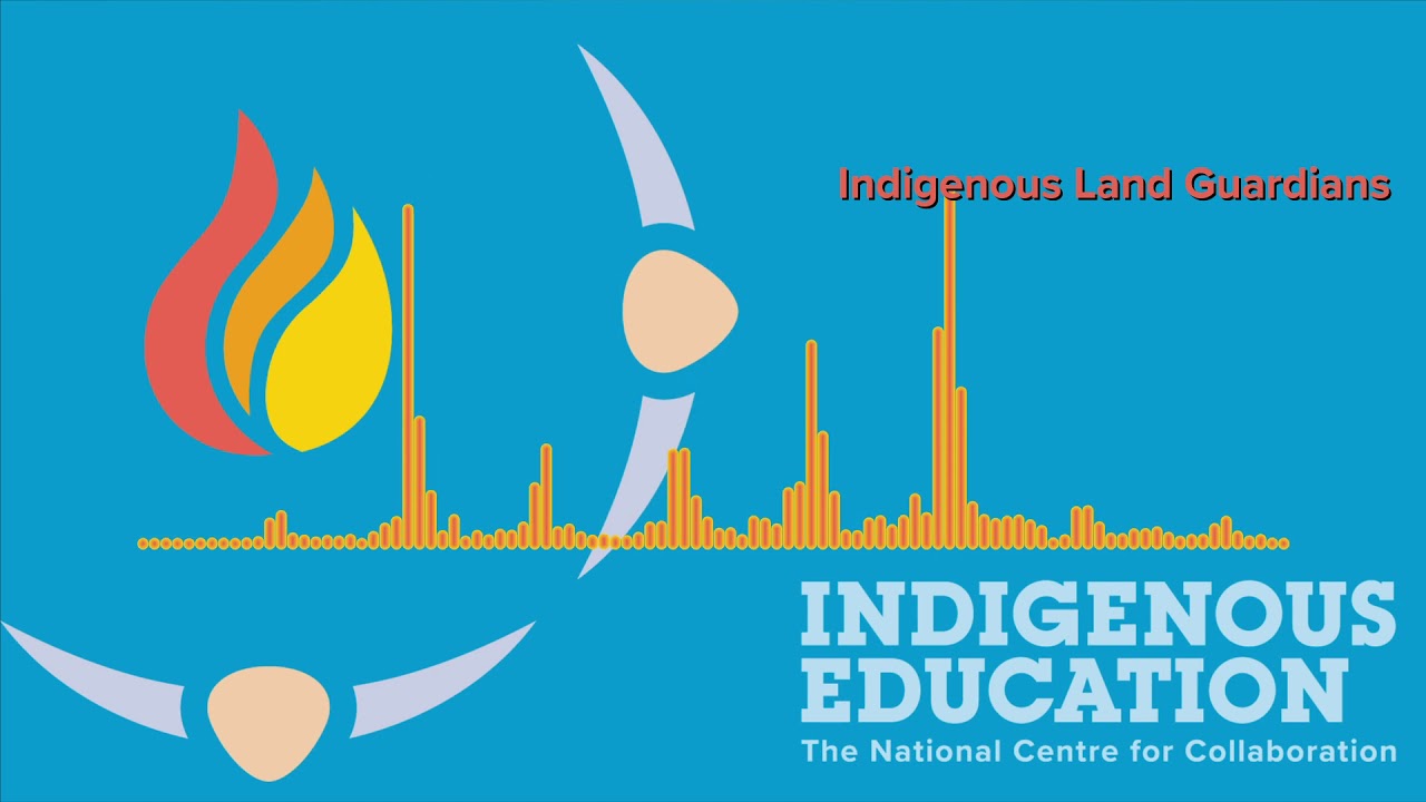 Indigenous Land Guardians
