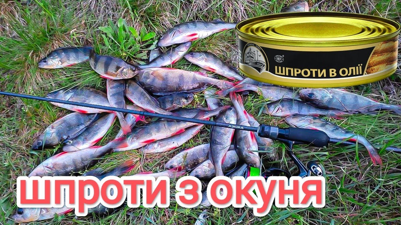 Будуть ШПРОТИ з ОКУНЯ / приманка і проводка / рибалка ультралайт 2023 на водосховищі