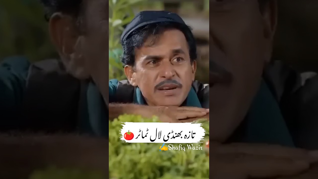 taji bhindi Lal tamatar 🍅 🤣 