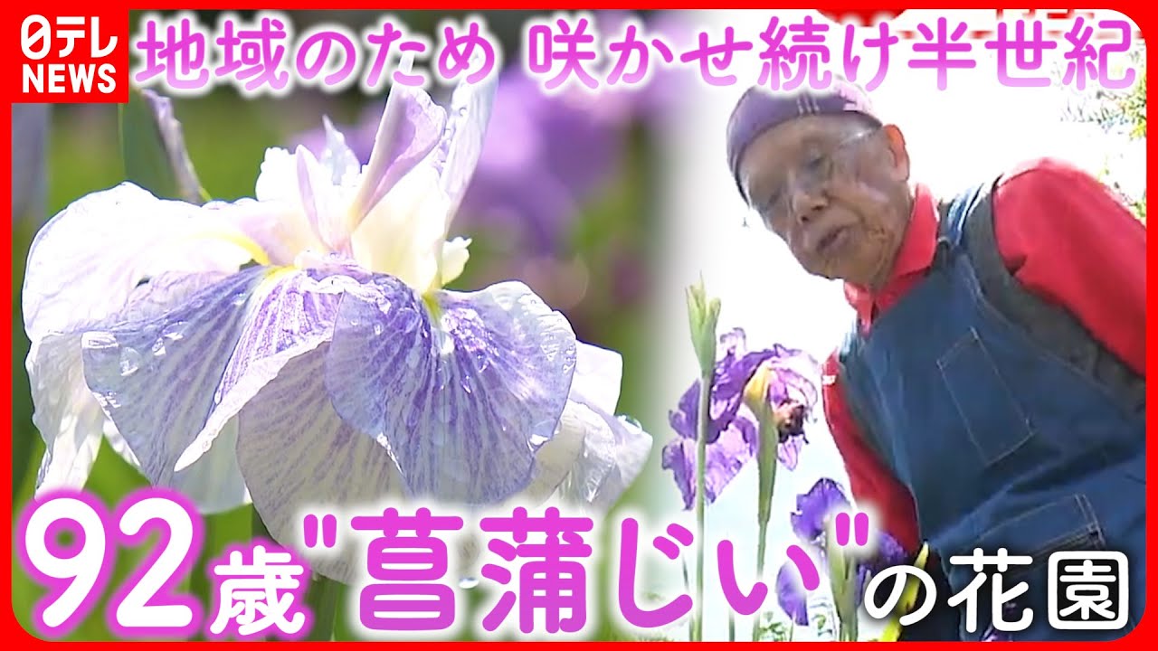 【花と人生】ひとりで守り続けた菖蒲園… 92歳”菖蒲じぃ” 再生への挑戦　愛媛　NNNセレクション