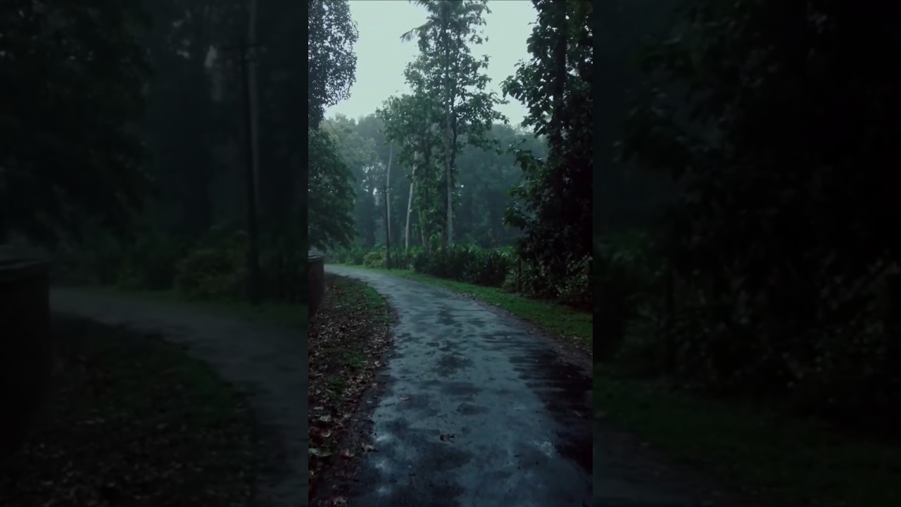 Rainy Day Relaxing Walk #asmr #relax #sleepsounds #stressrelief #nature