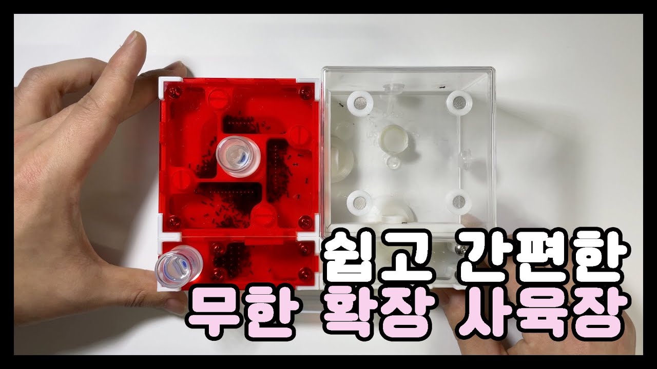새 무한 확장 사육장을 소개합니다 - 네오 사육장