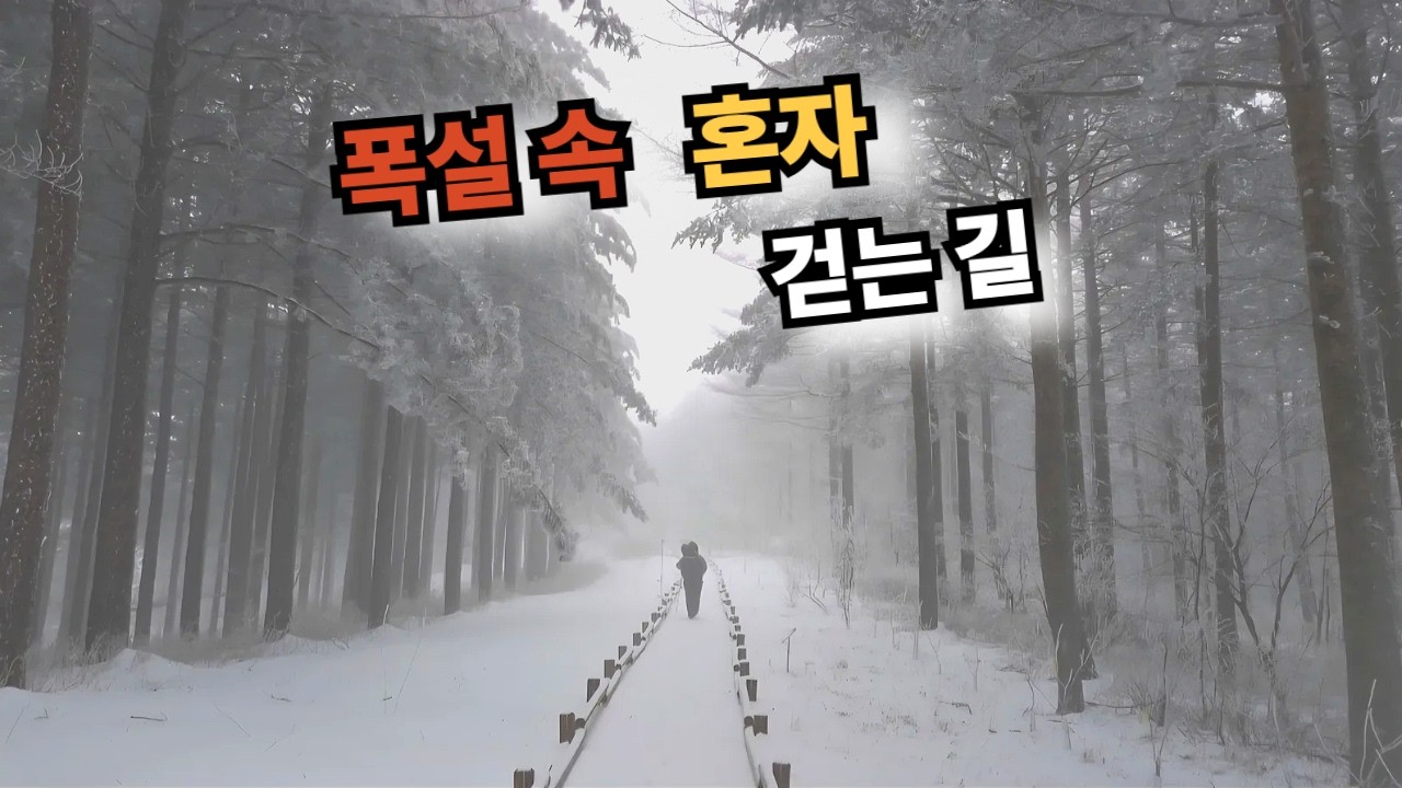 눈 보라 속 하룻밤ㅣ오길 잘했다