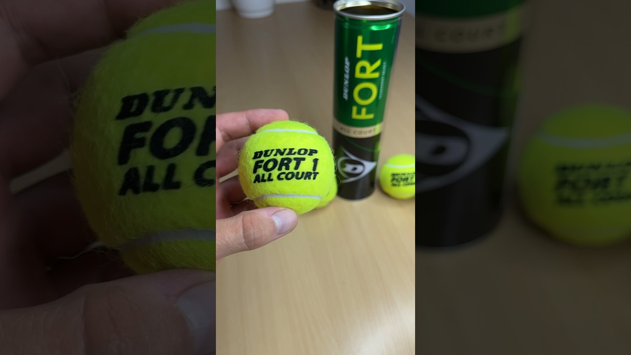 Dunlop All Court Tennis Balls
