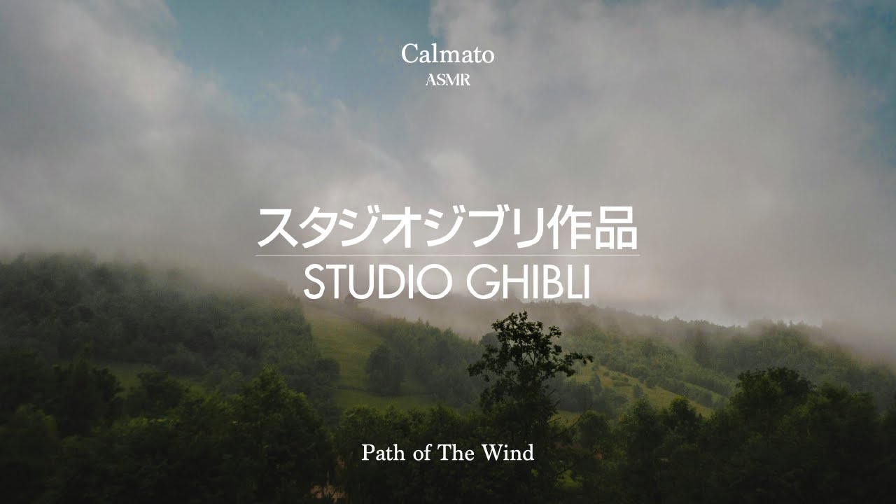 [ASMR] 언젠가 다시, 그 길을 따라 찾아올 거야 | 이웃집 토토로(My Neighbour TOTORO) - Path of The Wind | Ghibli OST ASMR