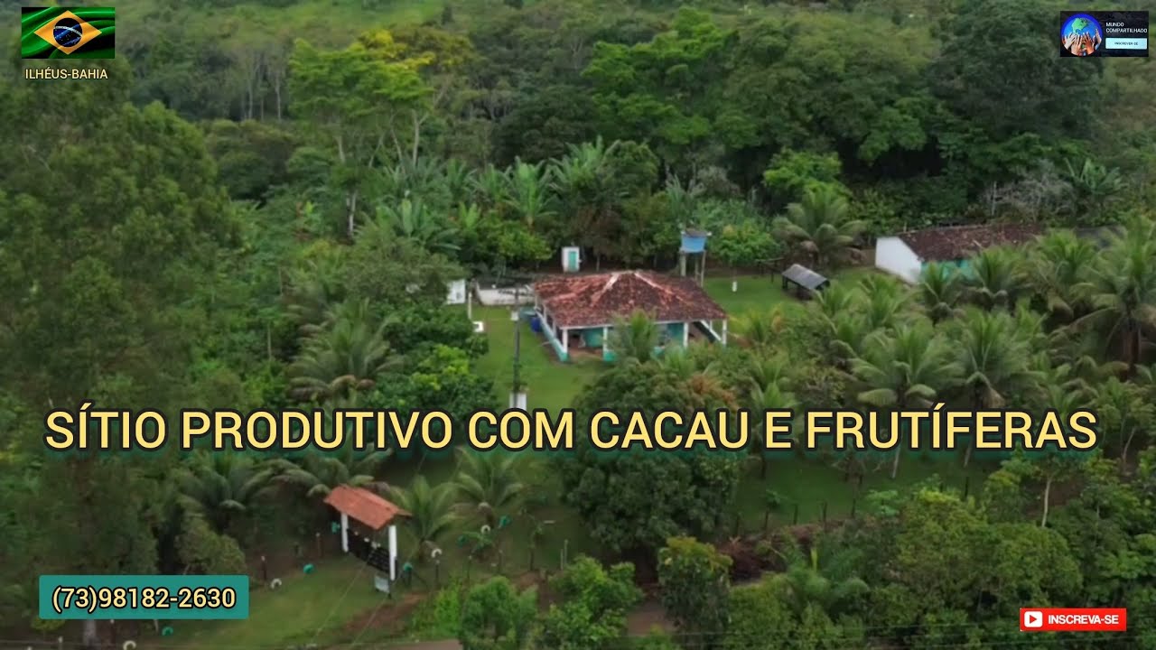 Sítio a venda na zona rural de Ilhéus- BA, área de 19 hectares com cacau,graviola,nascente de água. 