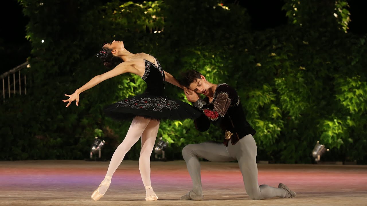 BALLET | Swan Lake  