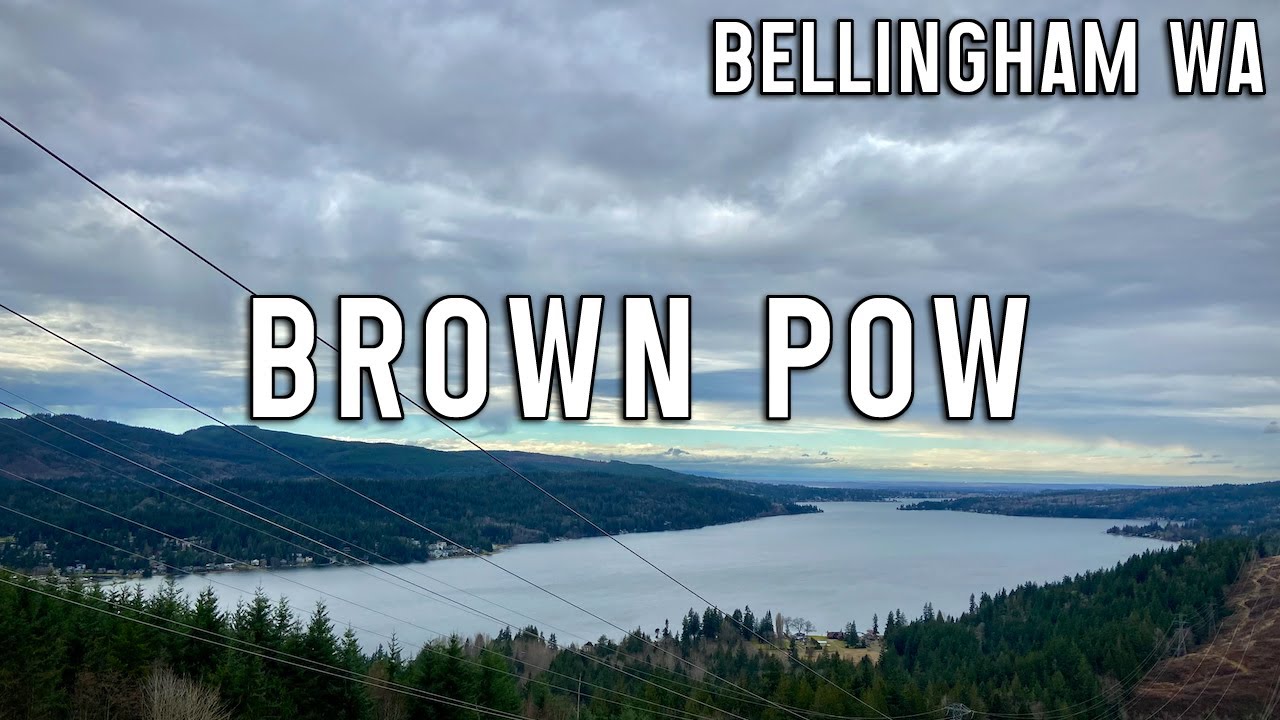 Bellingham Brown Pow!