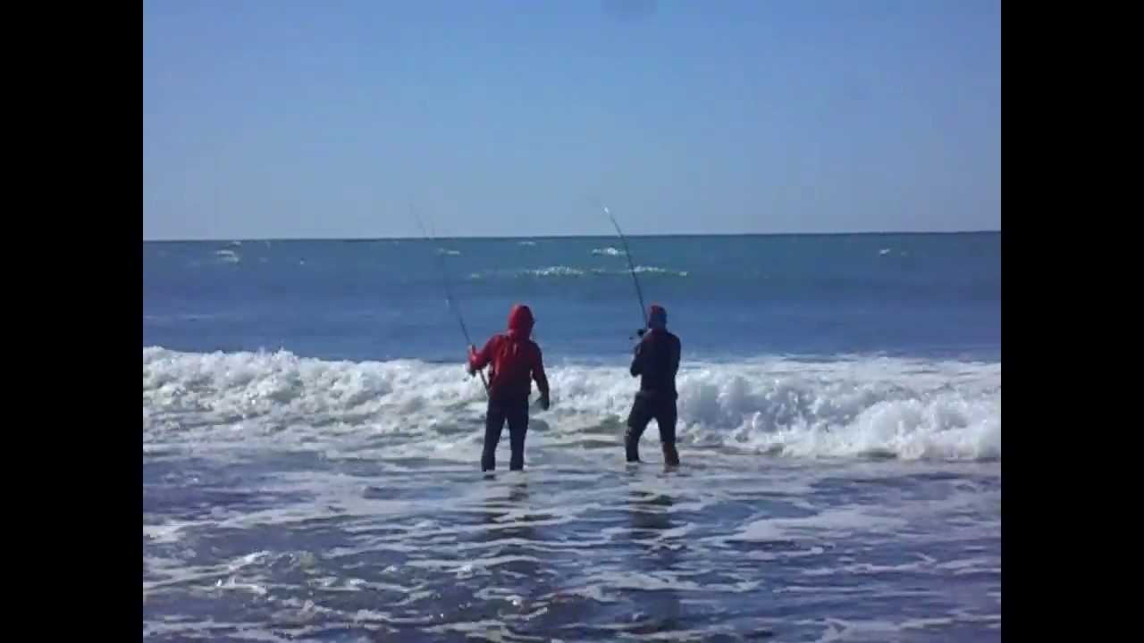 ااصيد في  الداخلة اخطر المصياد بالمنطقة 😨🎣🎣🐟