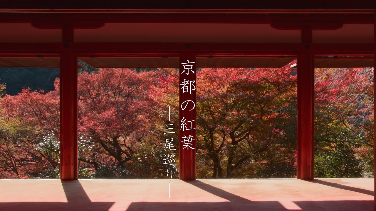 京都の紅葉名所・三尾巡り : Autumn in Kyoto’s Mountain Temples（Kyoto, Japan）