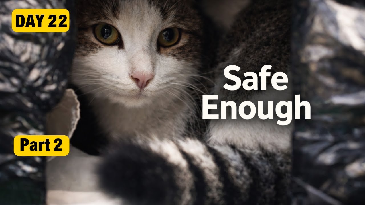 Safe Enough… For Tonight | Day 22 – Part 2