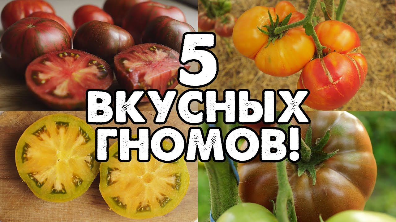 5 ВКУСНЫХ ТОМАТОВ ИЗ ПРОЕКТА 
