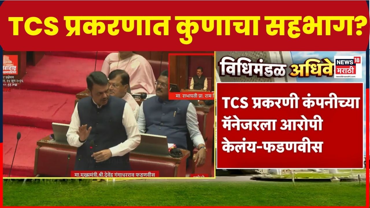 TCS Case News | TCS प्रकरणात कंपनीचा सहभाग नाही, फडणवीसांचं मोठं विधान | Marathi News