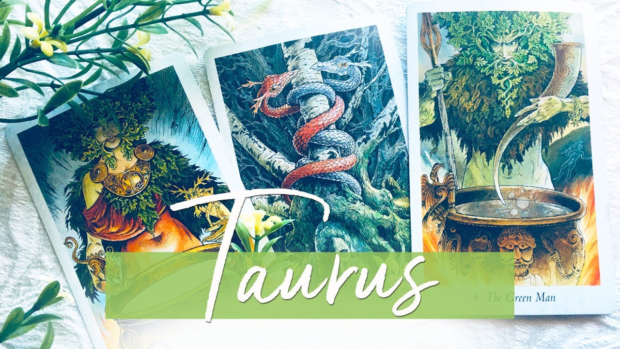 TAURUS - SOMEONE STEPS IN TO LIGHT A FIRE UNDER THEM