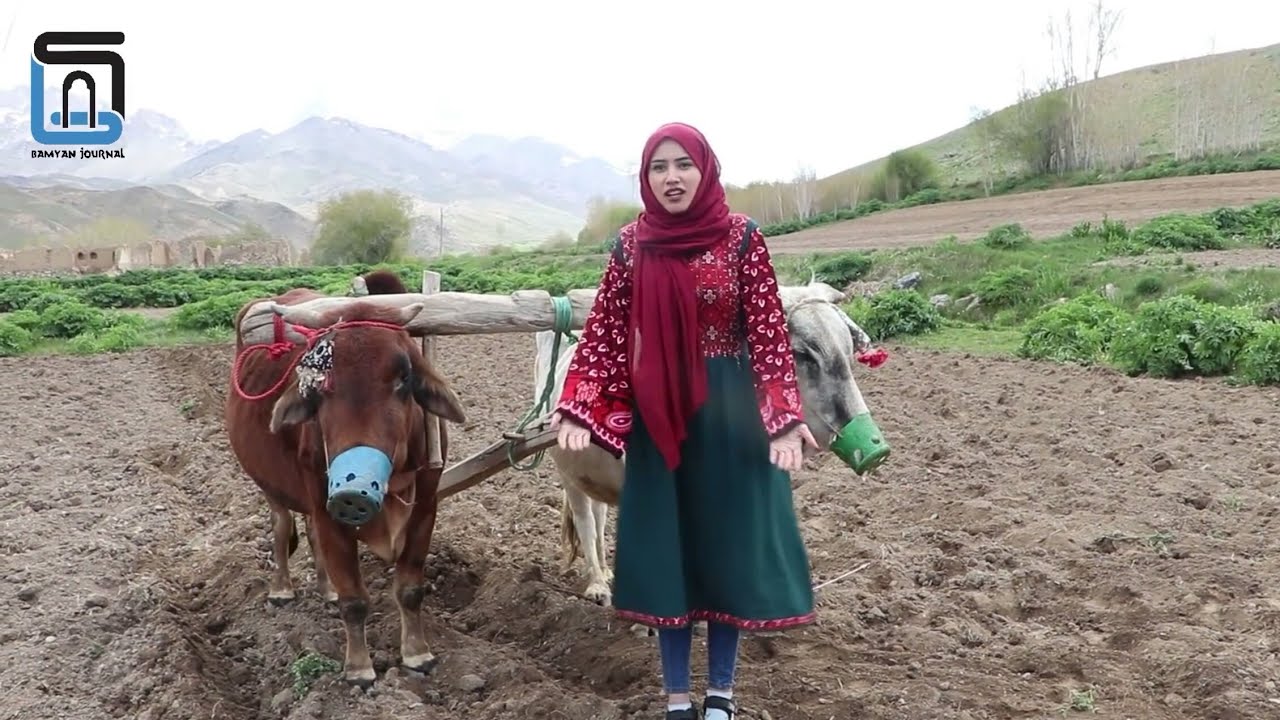 زندگی در روستا - قریه جانوم ولسوالی بهسود - Village Live Season 02 Episode 09
