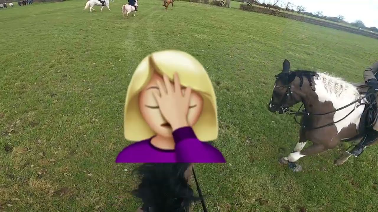 DRAG HUNTING WITH BEAGLES| It happened again…