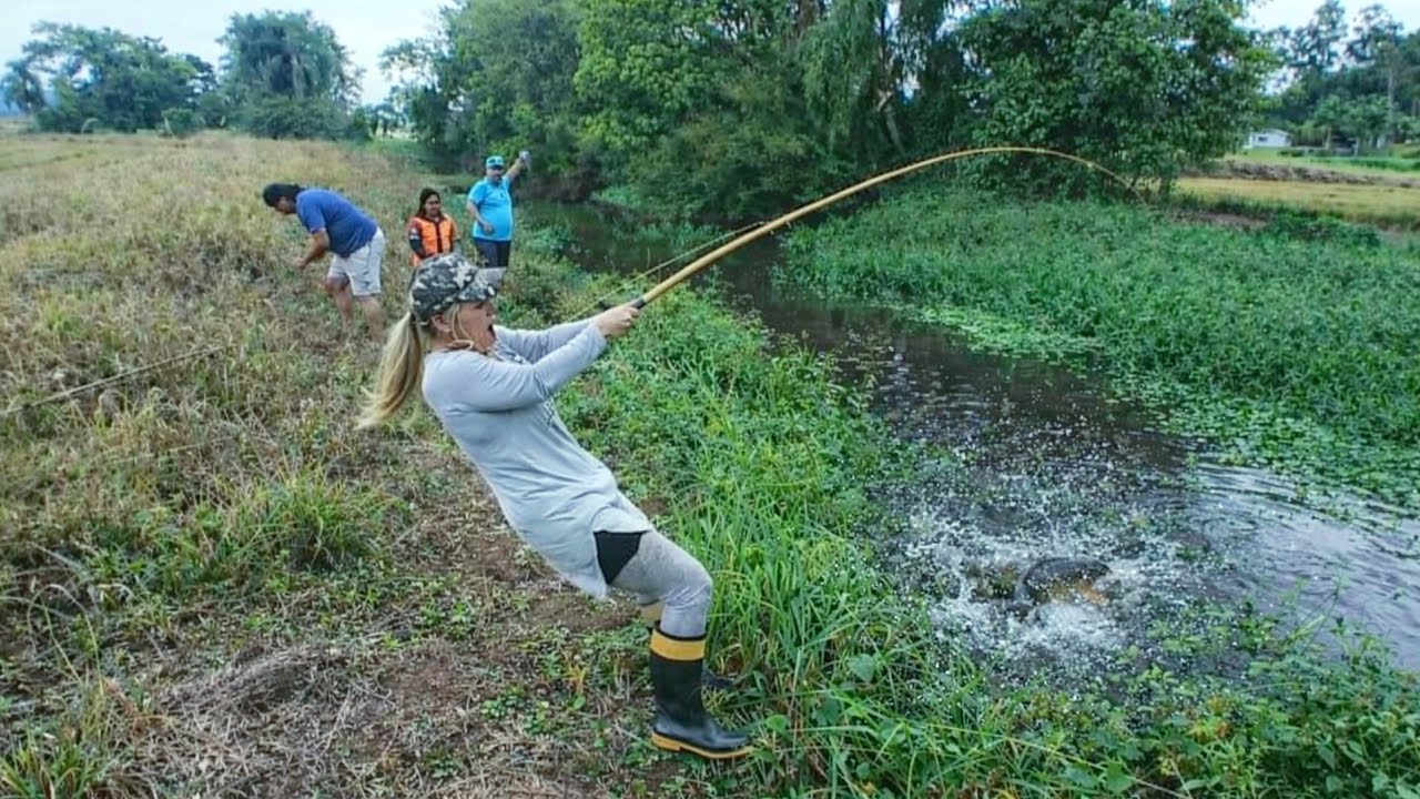 Incrível pescaria de traíra no valão cheio de peixes 
