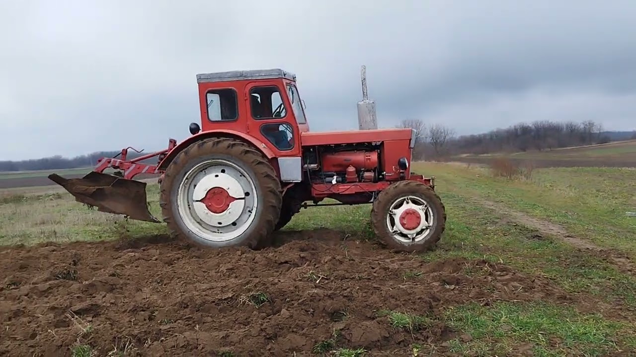 LTZ - T40 AS ZIMSKO ORANJE 2024