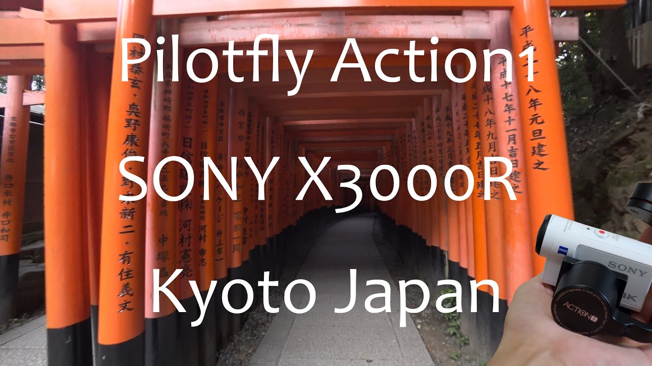 Pilofly Action1 SONY X3000R （京都伏見稲荷大社 Fushimi Inari Shrine Kyoto ）4K