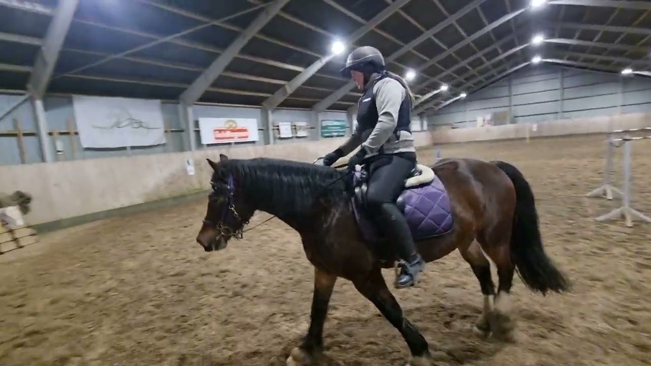 Online PTV februar Sasha & Gidion 