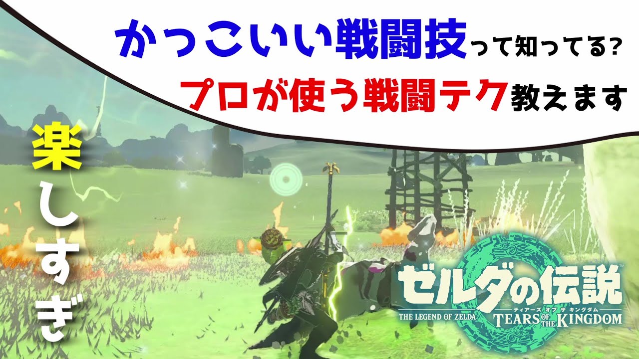 【戦闘狂向け】実は簡単な技もあった！プロが使う戦闘テクを分かりやすく解説！【ゼルダの伝説ティアーズオブザキングダム】