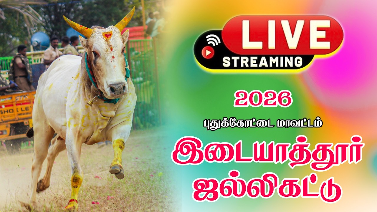 🛑Live இடையாத்தூர் ஜல்லிக்கட்டு 2026 || Edaiyathur jallikattu 2026