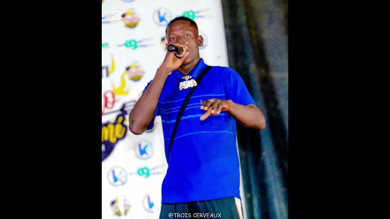  B.Z ONE FT BUFFALO LES GOUVERNEMENTS DU NIGER 🇳🇪