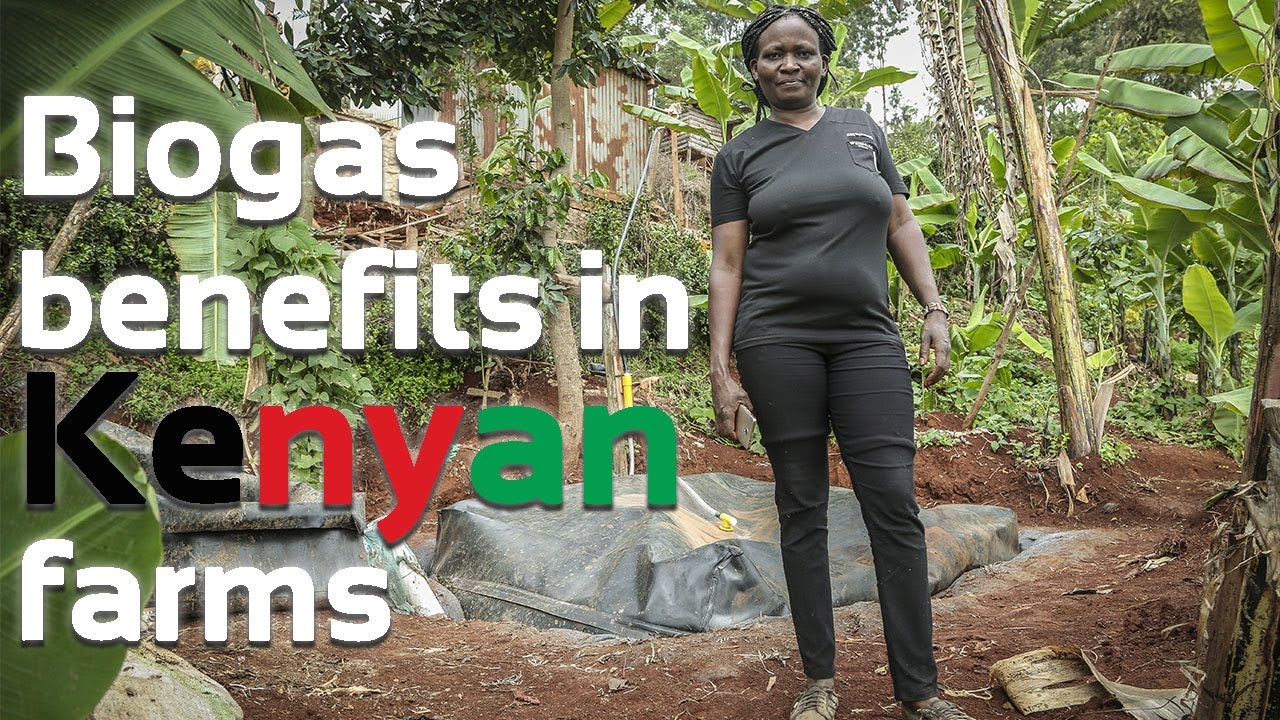 For Marie the biogas and benefits of Sistema.bio overweighed the status quo