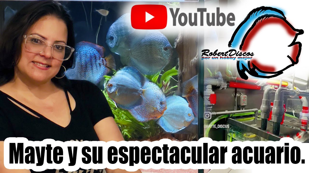 Mayte nos muestra su impresionante acuario, peces y sistema de filtración. ¡¡¡Es alucinante!!!