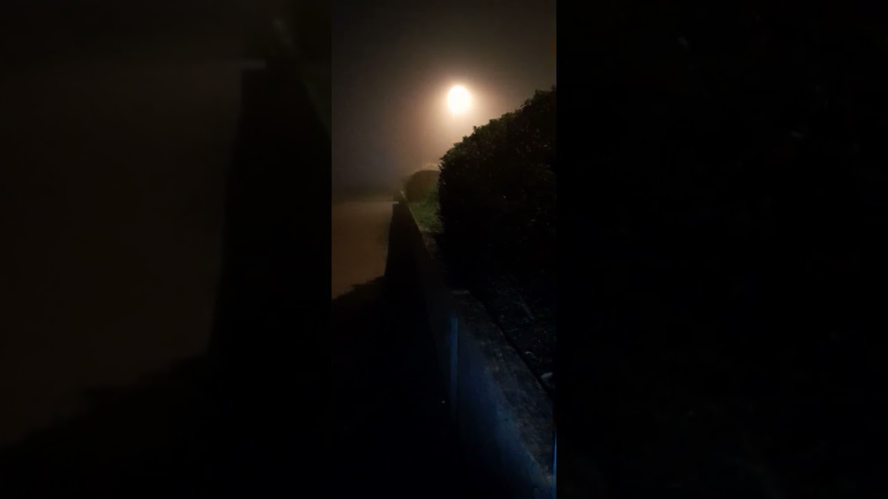 Night time walk 🌙 misty