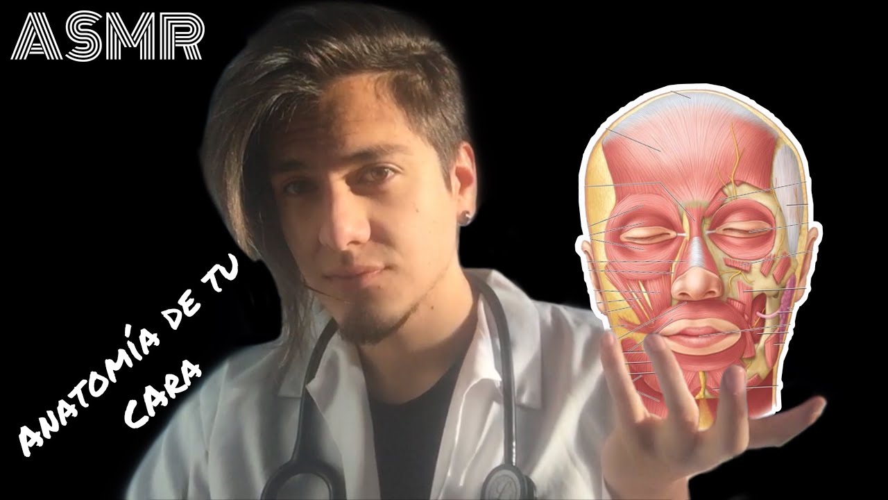 ASMR - Te Explico la 𝗔𝗡𝗔𝗧𝗢𝗠Í𝗔 de tu Cara + Triggers | ASMR by Padi