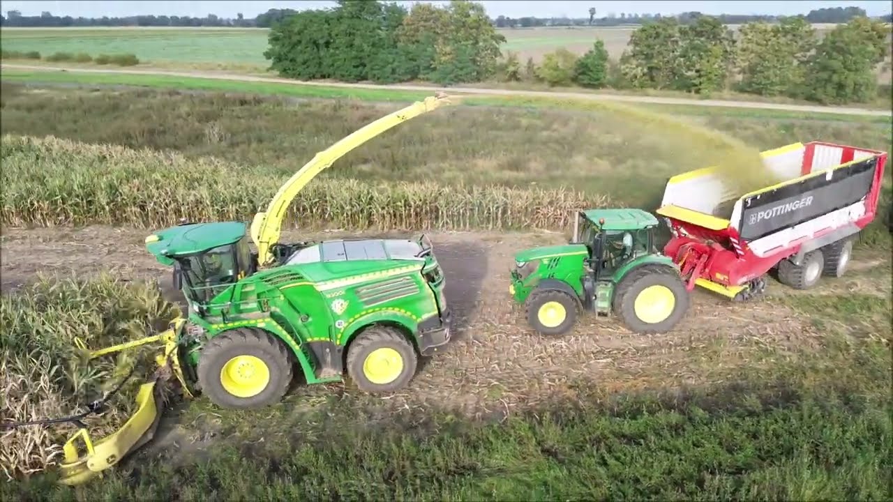 Mais häckseln 2023 im Oderbruch John Deere 8300i 