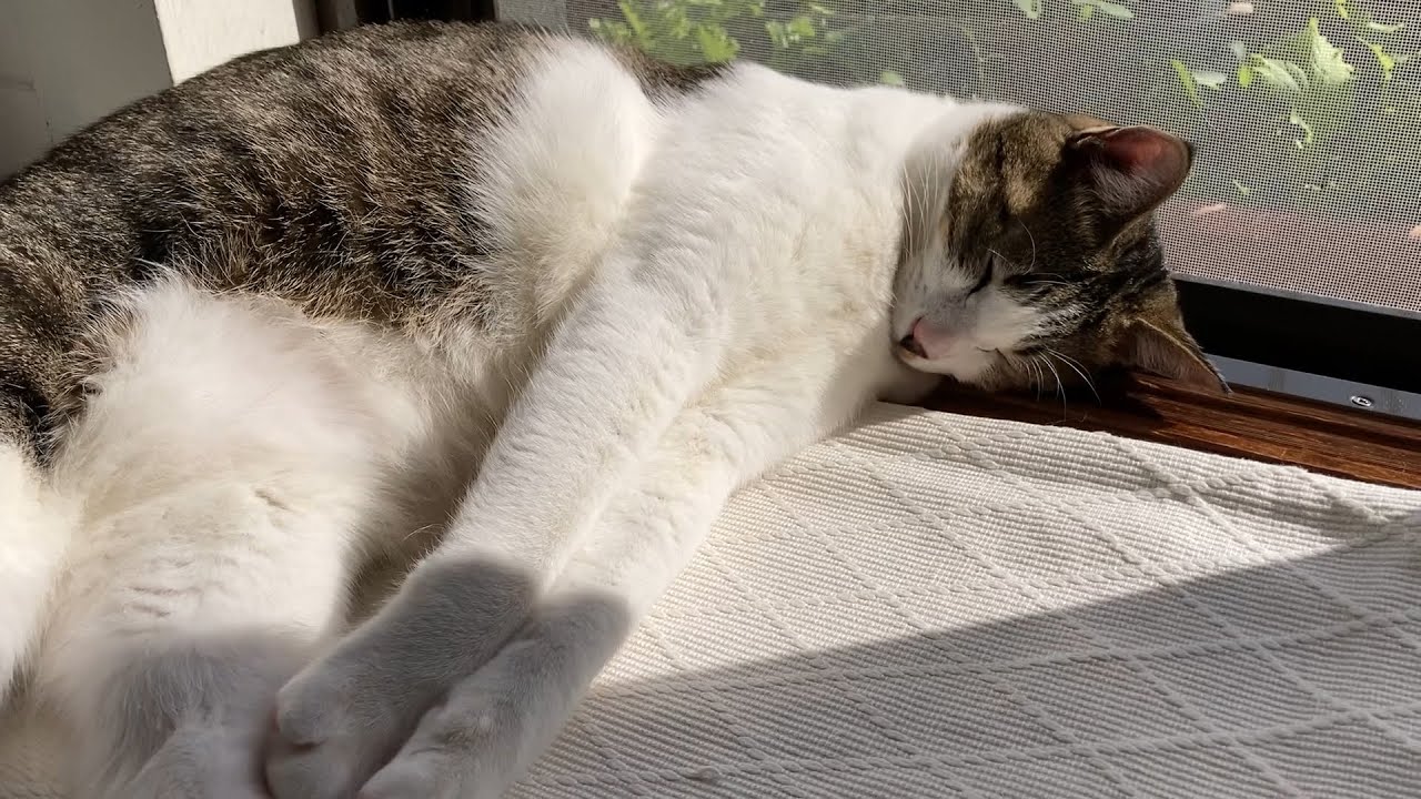 暖かそうですね