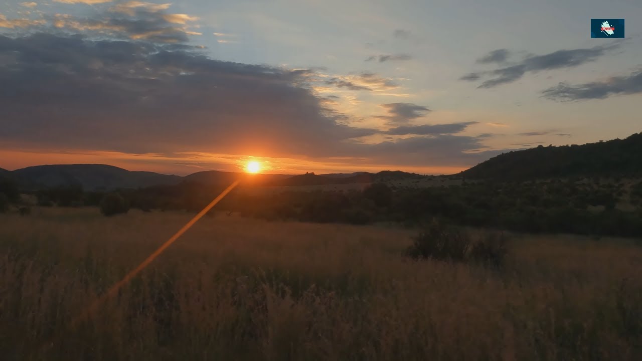 Game Drive Through Pilanesberg National Park | South Africa’s Safari Wonderland! 🦁✨