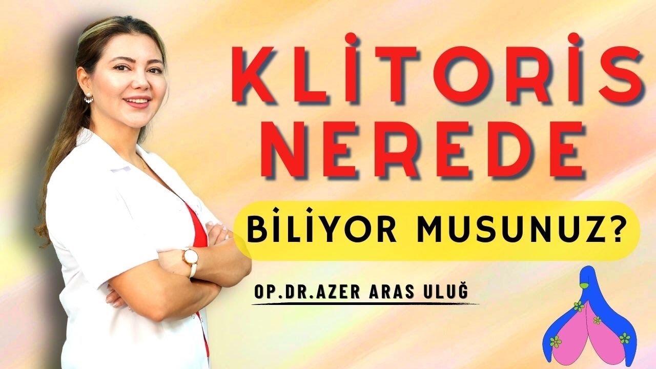 Klitoris Nerede Biliyor Musunuz? Kadın Genital Sisteminde Bilinmeyenler #cinselorgan #genitalsistem