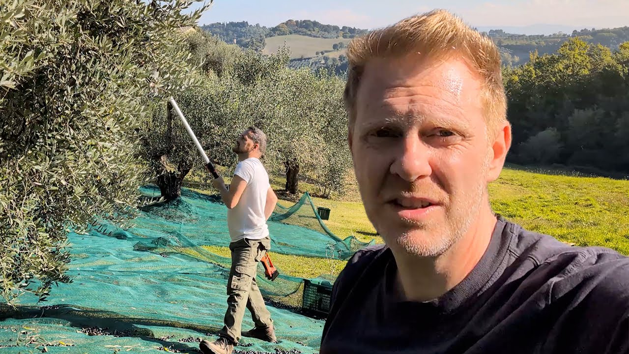 #22 1 year in Italy: Planting olive trees & our first harvest